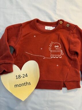 RISE Little Earthling - long sleeve pullover sweater/sweatshirt. Size 18-24 mo